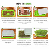Darrahopens Home & Garden > Garden Tools > Gardening Tools 2-Pack Seed Sprouter Trays with Lids BPA-Free, Soil-Free Wheatgrass Growing Kit for Beans, Sprouts, Microgreens