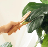 Darrahopens Home & Garden > Garden Tools > Gardening Tools 25 cm Generic Leaf Cleaning Tongs, House Plant Leaf Cleaning Tongs, Plant leaf Lint cleaner, Leaf-Shaped Cleaning Tongs,Cleans Both Sides of Leaves