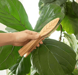 Darrahopens Home & Garden > Garden Tools > Gardening Tools 25 cm Generic Leaf Cleaning Tongs, House Plant Leaf Cleaning Tongs, Plant leaf Lint cleaner, Leaf-Shaped Cleaning Tongs,Cleans Both Sides of Leaves