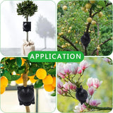 Darrahopens Home & Garden > Garden Tools > Gardening Tools 5-Pack Transparent Reusable Plant Air Layering Propagation Pod (Diameter: 5cm) - Anti-Waterlogging Grafting Root Ball Rooting Device for Flower & Fruit Trees