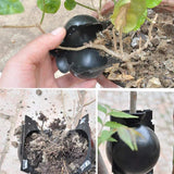 Darrahopens Home & Garden > Garden Tools > Gardening Tools 5-Pack Transparent Reusable Plant Air Layering Propagation Pod (Diameter: 5cm) - Anti-Waterlogging Grafting Root Ball Rooting Device for Flower & Fruit Trees
