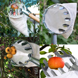Darrahopens Home & Garden > Garden Tools > Gardening Tools Green Telescopic Fruit Picker Tool with Stainless Steel Extension Pole Carbon Steel Head and Large Bag for Apples Peaches Oranges Australian Home Orchards(1.6m)