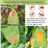 Darrahopens Home & Garden > Garden Tools > Gardening Tools Insect-proofmeshbags,gold,20-pack