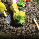 Darrahopens Home & Garden > Garden Tools > Gardening Tools Landscaping9-PieceSet(IncludesTools,Shears,Bag,WateringCan)