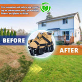 Darrahopens Home & Garden > Garden Tools > Gardening Tools Lawn Aerator Shoes with Spring Base & Spikes: Adjustable Strap, Double-Layer Design for Healthy Lawns in Australian Gardens