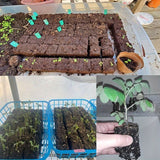 Darrahopens Home & Garden > Garden Tools > Gardening Tools Multi-Cell Seedling Transplanter for Batch Planting-Silver