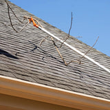 Darrahopens Home & Garden > Garden Tools > Gardening Tools Tools for cleaning fallen leaves-Rod