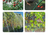 Darrahopens Home & Garden > Garden Tools > Gardening Tools Transparentnylonmesh,4meterswideby10meterslong