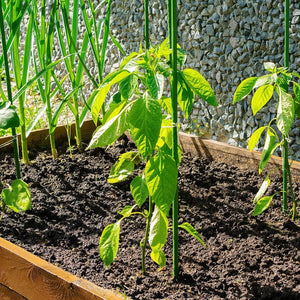 Darrahopens Home & Garden > Garden Tools Green Fingers Garden Stakes Metal Plant Support 24pcs 92x1.1CM