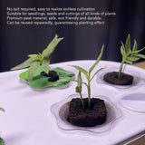 Darrahopens Home & Garden > Garden Tools > Sands & Soils 50 Pcs Seedling Block Peat Planting Block for Gardening Hydroponics Soilless Cultivation Plants Germination HRD TN0415 In Australia - Darrahopens