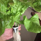 Darrahopens Home & Garden > Garden Tools > Sands & Soils 50 Pcs Seedling Block Peat Planting Block for Gardening Hydroponics Soilless Cultivation Plants Germination HRD TN0415 In Australia - Darrahopens