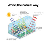 Darrahopens Home & Garden > Greenhouses > Greenhouses & Accessories Green Fingers Greenhouse 180x240x240cm Steel Frame PE Cover Outdoor Shelter