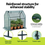 Darrahopens Home & Garden > Greenhouses > Greenhouses & Accessories Green Fingers Mini Greenhouse 91x46x84cm Steel Frame PE Cover Outdoor Shelter