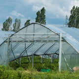 Darrahopens Home & Garden > Greenhouses > Greenhouses & Accessories Polyethylene Greenhouse Film 2x6m Transparent Extra Thick Garden Film for Foil Tunnels 10m