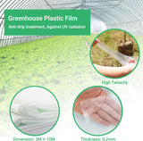Darrahopens Home & Garden > Greenhouses > Greenhouses & Accessories Polyethylene Greenhouse Film 2x6m Transparent Extra Thick Garden Film for Foil Tunnels 10m
