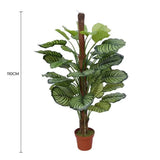 Darrahopens Home & Garden > Greenhouses > Greenhouses & Accessories Pond Leaf Plant 110cm
