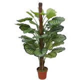 Darrahopens Home & Garden > Greenhouses > Greenhouses & Accessories Pond Leaf Plant 110cm