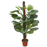 Darrahopens Home & Garden > Greenhouses > Greenhouses & Accessories Pond Leaf Plant 110cm