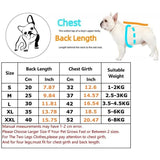 Darrahopens Home & Garden > Hobbies > Arts & Crafts Cartoon Animal Roll Stickers 500pcs Self-Adhesive Waterproof Paper, Bee Horse Dog Chicken Frog Unicorn, for Notebooks Compatible with Hefe