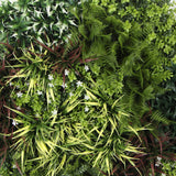 darrahopens Home & Garden > Home & Garden Others Slimline Artificial Green Wall Disc Art 100cm Green Field UV Resistant (Black)