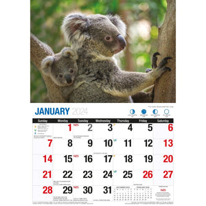 Darrahopens Home & Garden > Home Office Accessories Australian Wildlife - 2024 Rectangle Wall Calendar 16 Months Animal Photography