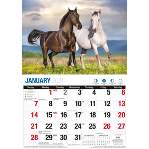 Darrahopens Home & Garden > Home Office Accessories Best Friends - 2024 Rectangle Wall Calendar 16 Months Animals Friendship Moments