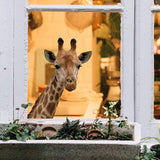 Darrahopens Home & Garden > Home Office Accessories > Calendars, Organisers & Planners Cute Animals Window Decor Wall Stickers Funny Giraffe Wall Decals