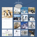 Darrahopens Home & Garden > Home Office Accessories > Calendars, Organisers & Planners Penguins - 2025 Square Wall Calendar Pets Animals 16 Months Premium Planner Gift