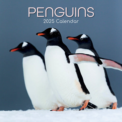 Darrahopens Home & Garden > Home Office Accessories > Calendars, Organisers & Planners Penguins - 2025 Square Wall Calendar Pets Animals 16 Months Premium Planner Gift