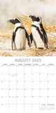 Darrahopens Home & Garden > Home Office Accessories > Calendars, Organisers & Planners Penguins - 2025 Square Wall Calendar Pets Animals 16 Months Premium Planner Gift