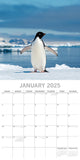 Darrahopens Home & Garden > Home Office Accessories > Calendars, Organisers & Planners Penguins - 2025 Square Wall Calendar Pets Animals 16 Months Premium Planner Gift