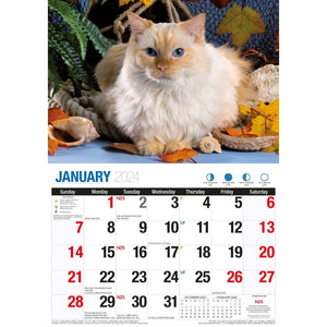 Darrahopens Home & Garden > Home Office Accessories Cute Cats - 2024 Rectangle Wall Calendar 16 Months Planner Animal Pets Photos