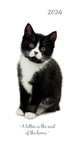 Darrahopens Home & Garden > Home Office Accessories Cute Kittens - 2024 Flexi Pocket Diary Premium Planner Christmas New Year Gift