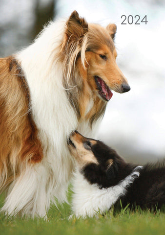 Darrahopens Home & Garden > Home Office Accessories Dogs & Puppies - 2024 A5 Padded Cover Diary Premium Planner Book New Year Gift