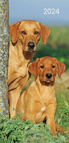 Darrahopens Home & Garden > Home Office Accessories Dogs & Puppies - 2024 Flexi Pocket Diary Premium Planner Christmas New Year Gift