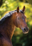 Darrahopens Home & Garden > Home Office Accessories Horses - 2024 A5 Padded Cover Diary Premium Planner Book Christmas New Year Gift