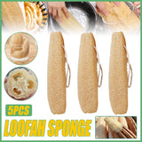 Darrahopens Home & Garden > Kitchenware > Kitchen Utensils Natural Loofah Sponge Kitchen Scrubber for Dishwashing Pot Cleaning 5 Pack