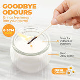 Darrahopens Home & Garden > Laundry & Cleaning Perfect Scent 12PCE Fresh Daisies Scented Fragrant Candle Glass Holder 6.5cm