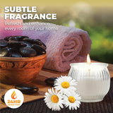 Darrahopens Home & Garden > Laundry & Cleaning Perfect Scent 12PCE Fresh Daisies Scented Fragrant Candle Glass Holder 6.5cm