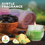 Darrahopens Home & Garden > Laundry & Cleaning Perfect Scent 12PCE Fruit Fusion Scented Fragrant Candle Glass Holder 6.5cm