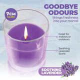 Darrahopens Home & Garden > Laundry & Cleaning Perfect Scent 12PCE Lavender Scented Fragrant Candles In Glass Holders 7cm
