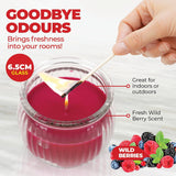 Darrahopens Home & Garden > Laundry & Cleaning Perfect Scent 12PCE Wild Berries Scented Fragrant Candle Glass Holder 6.5cm
