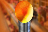 Darrahopens Home & Garden > Lighting > Light Bulbs 3 in 1 Egg Candler Light for Chicken Ostrich Eggs