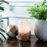 Darrahopens Home & Garden > Lighting > Lighting Accessories Tiger Shell Glass Illumination Warmer - RRP $49.95 - Wholesale