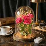 Darrahopens Home & Garden > Lighting > Night Lights & Ambient Lighting 24 Battery Operated Fairy Lights [3 Modes] 7ft 20 LED Mini Twinkle String Lights Waterproof Silver Wire Firefly Starry Sky Lights for Weddings, Mason Jars, Christmas Decorations, Warm White