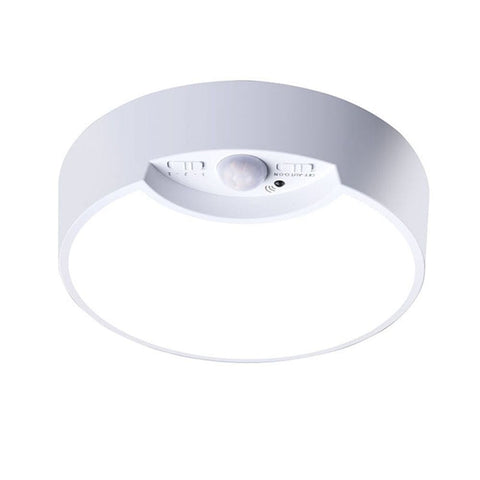 Darrahopens Home & Garden > Lighting > Night Lights & Ambient Lighting Hard-Wired Motion Sensor Ceiling Lights,  Flush Mount Motion LED Ceiling Lights,  Indoor Ceiling Light for Closet Doorway Stairway Hallway,  Not Battery OperatedRechargeable induction light+remote control