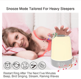 Darrahopens Home & Garden > Lighting > Night Lights & Ambient Lighting Touch Wake Up Night Light with Sunrise Simulation Alarm Clock, 3 Ways Dimmable Warm White Bedside Lamp for Kid Bedrooms RGB Ambient Table Nightstand Light,Sleep Aid Snooze Timer Mode