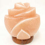 Darrahopens Home & Garden > Lighting > Table Lamps 12V 12W Rose Himalayan Pink Salt Lamp Carved Flower Rock Crystal Light Bulb On/Off