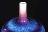 Darrahopens Home & Garden > Lighting > Table Lamps 365nm Black Light UV Flashlight With LCD Display Rechargeable Torch Lamp