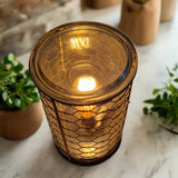 Darrahopens Home & Garden > Lighting > Table Lamps Chicken Wire Edison Bulb Illumination Warmer - RRP $49.95 - Wholesale - OUT OF STOCK - PREORDERS OPEN - ARRIVING EARLY SEPTEMBER